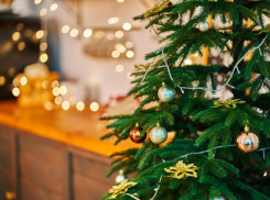 Как выбрать идеальную елку на Новый год: советы для анапчан