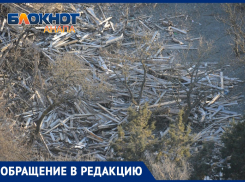 Бардак в заповеднике «Утриш» – не убирают уже три года