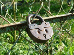 Анапчане не поедут учиться за границу