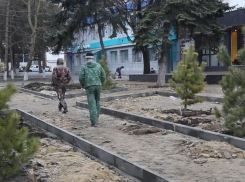 На улице Ленина в Анапе вместо парковки появился еще один сквер 