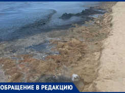  «Невозможно в такой вонище»: гости курорта пожаловались на состояние пляжа Джемете