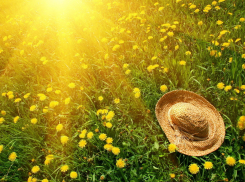 Сегодня, 28 мая, в Анапе ясно и до +24