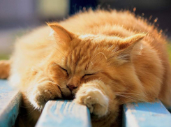 Ура! 24 января в Анапе тепло и солнечно