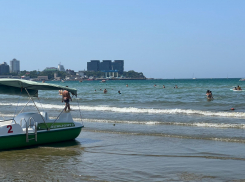 Август полным ходом: жара, дельфины и чистое море
