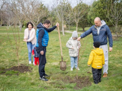 В анапском парке «Ореховая роща» высадили миндальные деревья