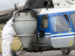 Плавни Анапы обрабатывают от комаров, в том числе, и дроны