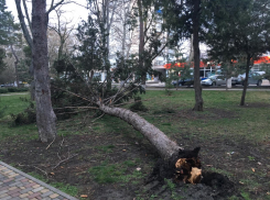 Что натворил бешеный ураганный ветер в Анапе: он нагнал страху