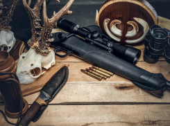  Анапчане могут получить охотничий билет через Госуслуги