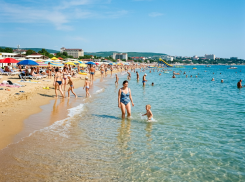 Есть ли акулы в Анапе: правда или очередной миф