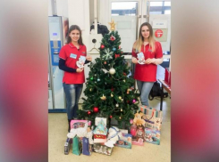 Анапские полицейские осуществили новогодние мечты детей