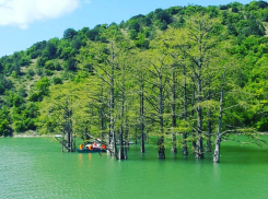 Покажи красоту Анапы и бесплатно отдохни на фестивале от ресторана «Винотеррия»