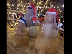 «Обломали руки, обломали ноги»: в Анапе нападению вандалов подверглись песковики