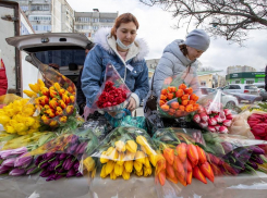 Где в Анапе можно купить цветы к 8 Марта: адреса ярмарок