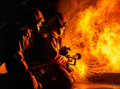 В Анапе запрещено разжигать костры вблизи лесных массивов – высокая пожароопасность