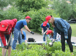 Где анапские школьники могут легально заработать деньги во время каникул?
