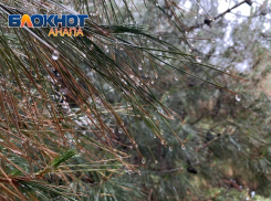 В Анапе 29 августа будет пасмурно и ожидается дождь