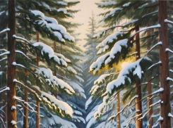 Морозы придут в Анапу уже в ближайшие дни 