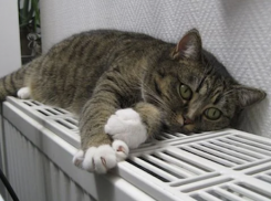 В Анапе отопительный сезон закончился, а в Новороссийске нет