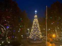 Анапчанам предложили похвастаться ёлкой в своем городе или дворе