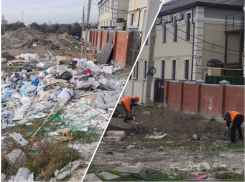 Обещали – сделали: свалки возле «Ореховой рощи» больше нет