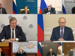 Путин поручил провести работы по ликвидации последствий от разлива мазута максимально быстро