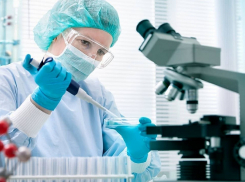 Подтверждено 85 новых случаев коронавируса, в Анапе плюс один. Сводка на 23 августа