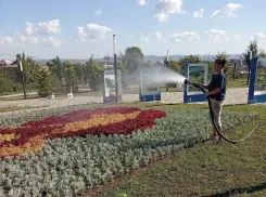 В Анапе усилили уход за зелёными насаждениями из-за жары
