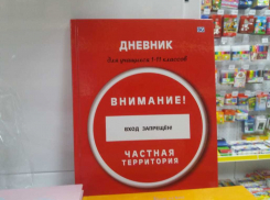 Анапчанке предложили дневник за 800 рублей!
