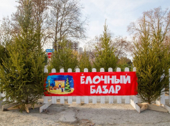 Елочные базары в Анапе будут работать до 31 декабря
