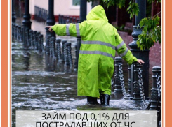 Предприниматели Анапы могут получить льготные микрозаймы
