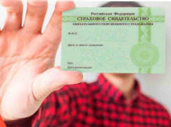 Анапчанам больше не будут выдавать бумажные СНИЛС