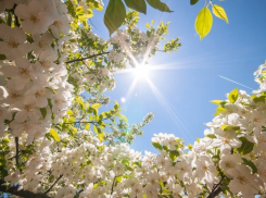 В пятницу, 17 мая, в Анапе будет не так жарко, как вчера