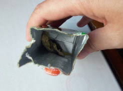 В соседнем с Анапой городе в пакете из-под сока женщина обнаружила нечто