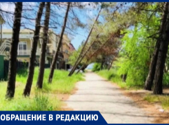 Сухие ветки рискуют упасть на головы людей на Пионерском проспекте в Анапе