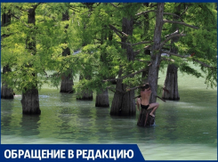 Вандалы портят кипарисы на озере в Сукко под Анапой