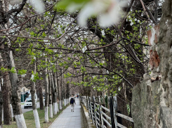 В День рождения мобильного телефона в Анапе будет облачно