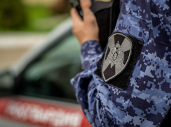 Росгвардейцы в Анапе задержали находящегося в розыске мужчину 