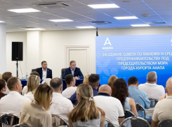 Число субъектов МСП в Анапе превысило 12 тысяч – рост 3,3%