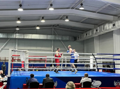 В Анапе проходит боксерский турнир в память о Герое России Викторе Омелькове