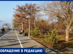 Александр Иванов считает, что в Анапе только 30% пешеходных дорожек соответствуют нормам