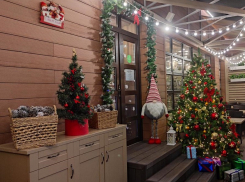 Анапу к Новому году украсят в едином и оригинальном стиле