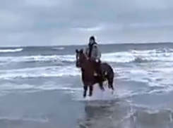 Анапчанин верхом на коне зашел в холодное февральское море