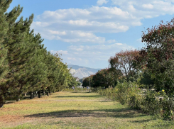 В день ласкового обращения в Анапе сохранится тепло