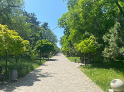 Во Всемирный день ветра в Анапе, в основном, солнечно