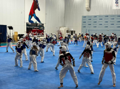 В Анапе на тренировочные сборы приехали высококвалифицированные спортсмены