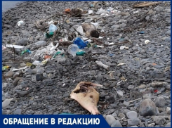 Почему в Анапе бывает грязно? Ответ лежит на поверхности...земли