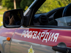 В Анапе сотрудники Росгвардии задержали местного жителя из-за куска пиццы