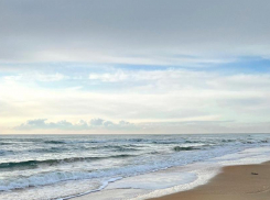 День пельменей в Анапе будет пасмурным