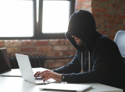 Югорчанка, которая хотела встретить Новый год в Анапе, стала жертвой мошенников