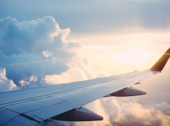 Боинг совершил аварийную посадку в поле из-за чаек, которых в Анапе тоже очень много